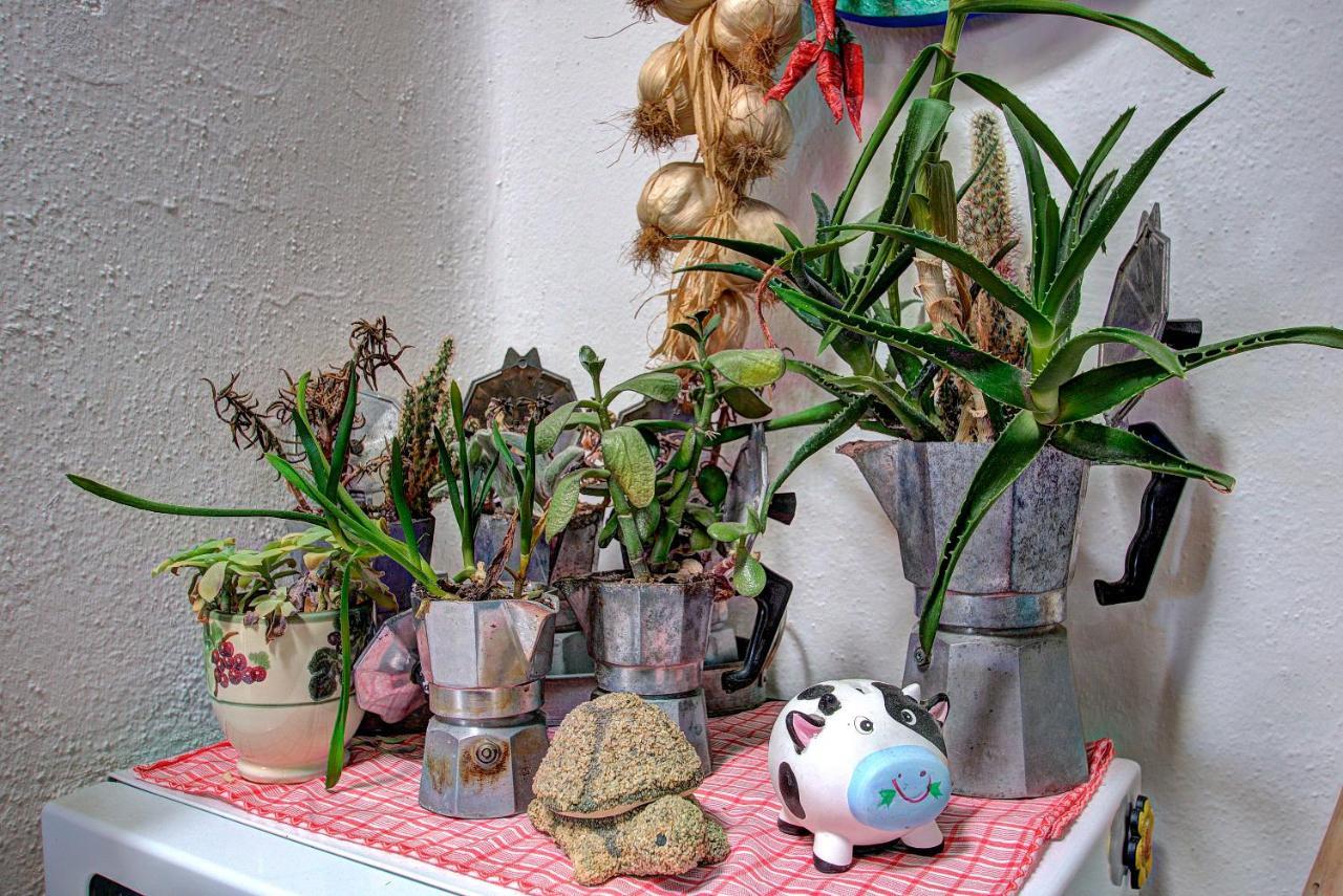 Lacco Terrace Solarium ラッコ・アメーノ エクステリア 写真